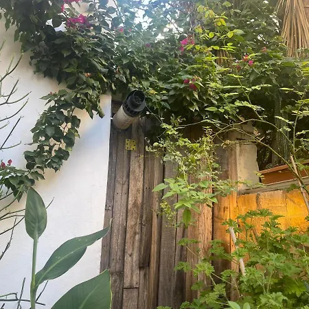 Eleonora's Hidden Gem *